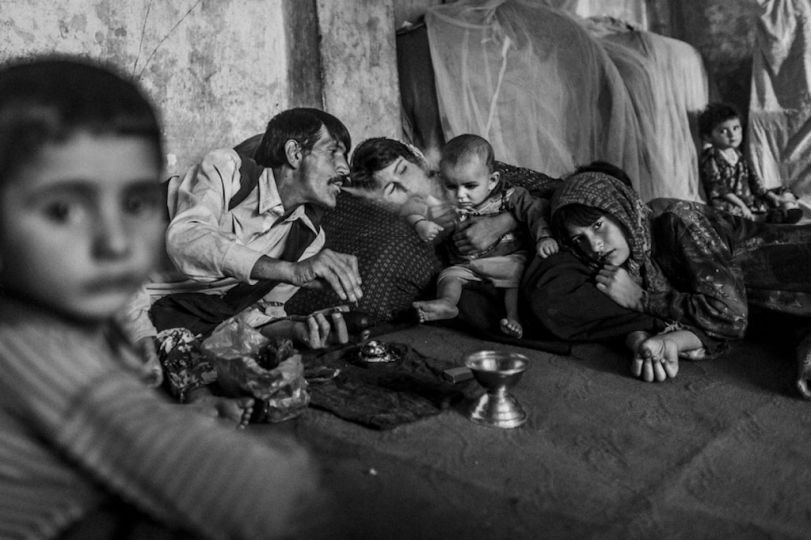 © Majid Saeedi