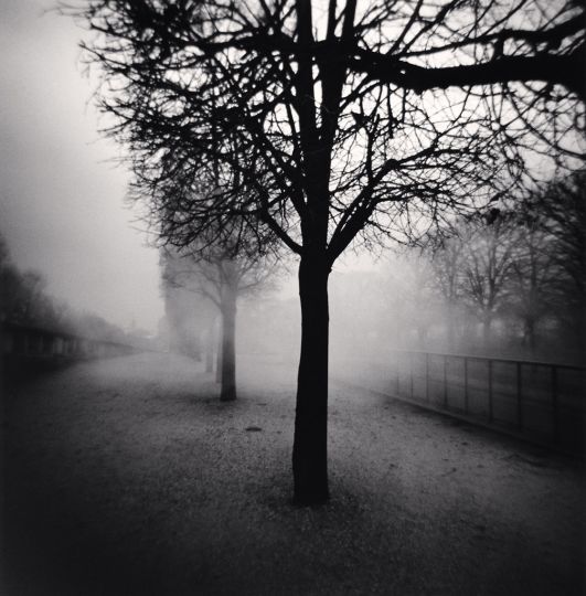 Tuileries Gardens, Study 5, Paris, France. 2004 © Michael Kenna - musée Carnavalet