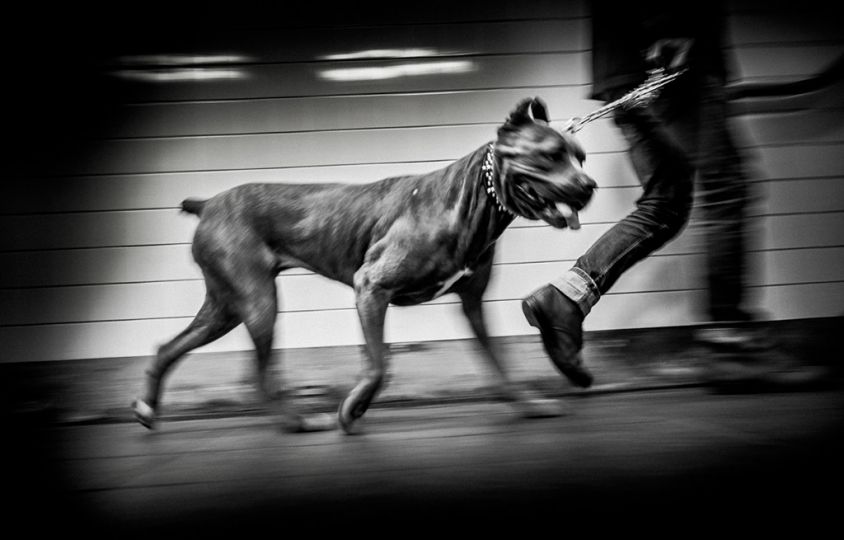3rd Rail  © Clay Patrick McBride