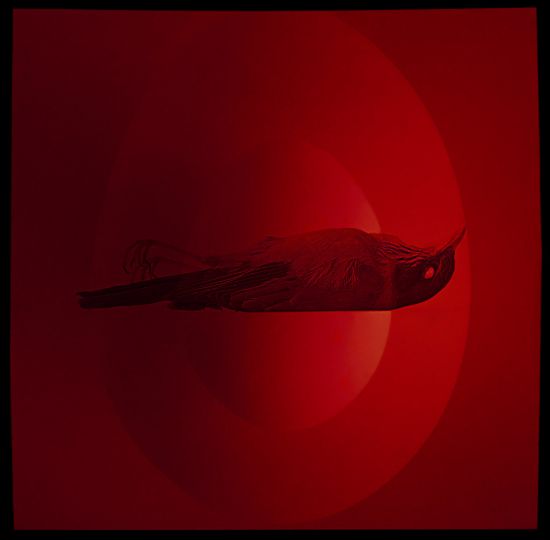 Ecclesiates © Art Kane
