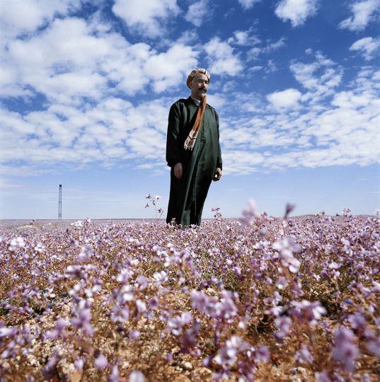 Terra Incognita © Bruno Hadjih