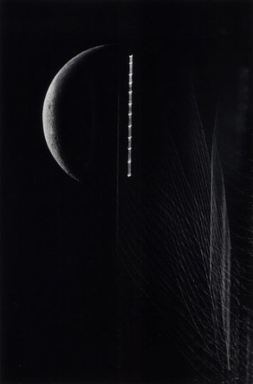 A Crescent, Poplars and Moon Trailing, Tokyo, 1987 © Kikuji Kawada