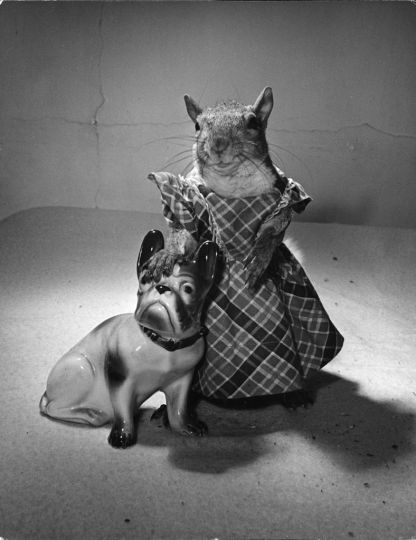 © Nina Leen / Time Inc.