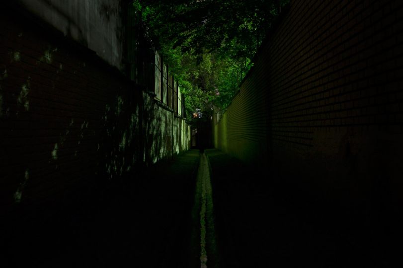 Onearthed © Hamid Shams