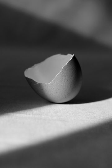 © Gaetan Palmieri