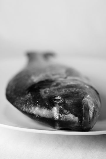 © Gaetan Palmieri