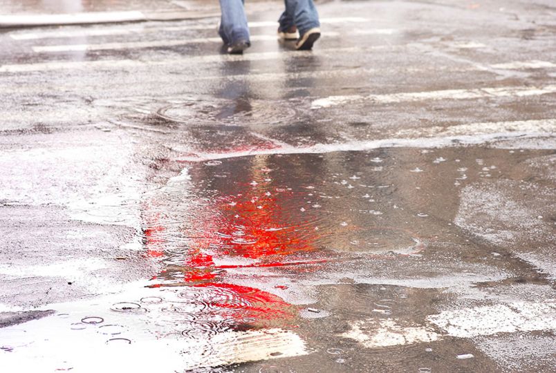 Wet Pavement © Neal Slavin