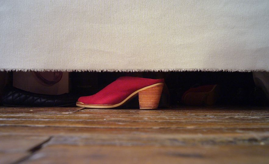 Woman's Shoe © Neal Slavin