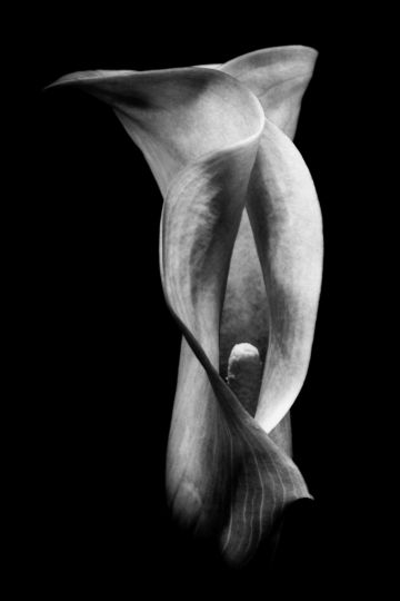 Opening  © Ksenija Spanec