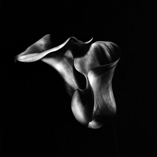 Sculptural  © Ksenija Spanec