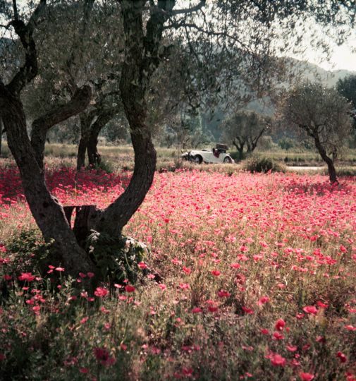 Florette dans la Morgan Provence, mai 1954. Photographie J. H. Lartigue © Ministère de la Culture - France / AAJHL