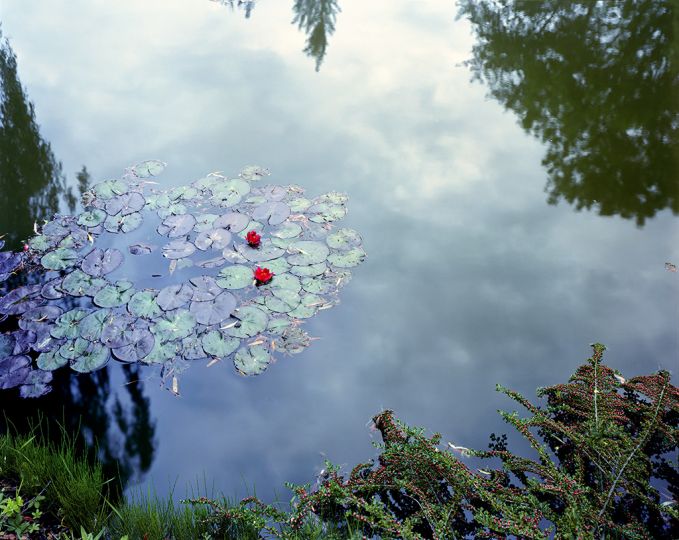 Giverny, France, 1982 © Stephen Shore
