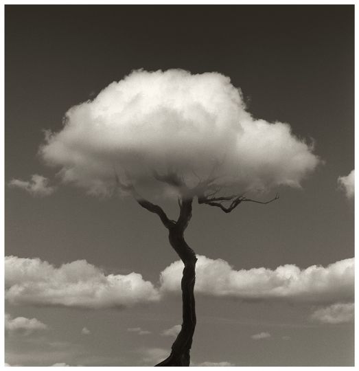 © Chema Madoz, VEGAP, Madrid, 2009
