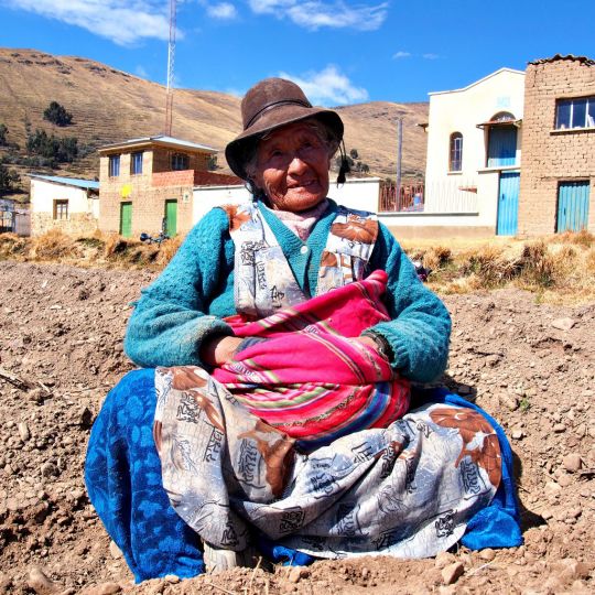 Braulia Elle plante des haricots Lac Titicaca, Bolivien
