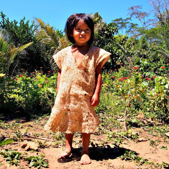Kori Fausse sauvage la plus photogénique du monde Puerto Maldonado, Péroun