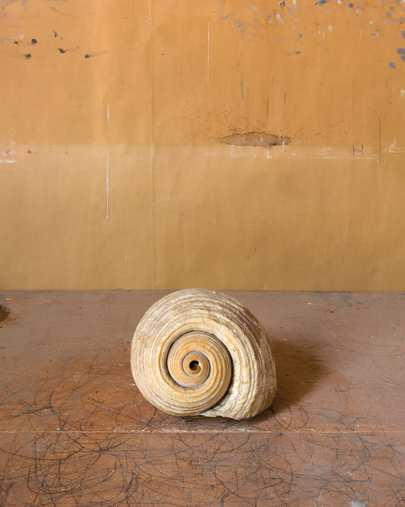 Joel Meyerowitz : Morandi's Objects - The Eye of Photography Magazine