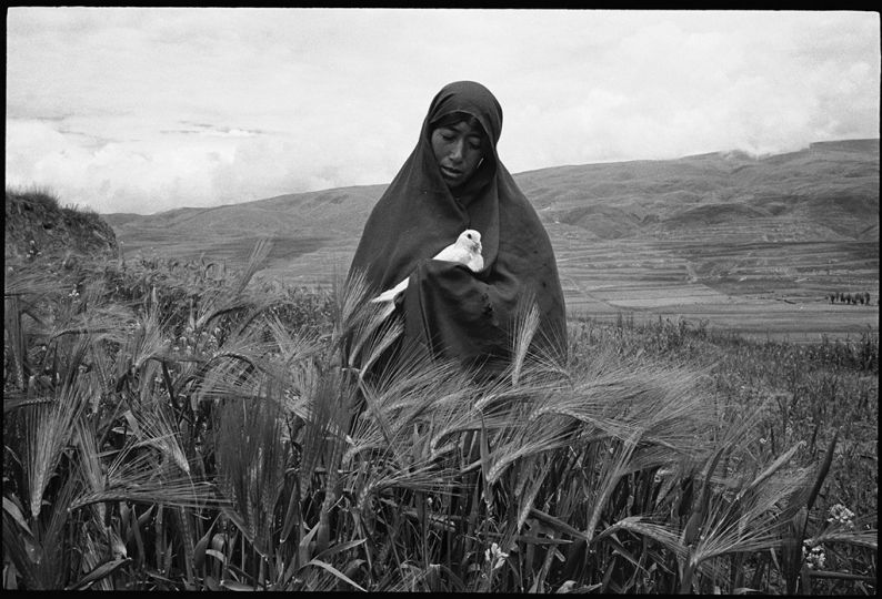 Nun holding released dove-Sichuan 2006 © Yang Yankang

