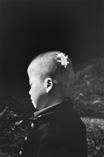 © Shoji Ueda