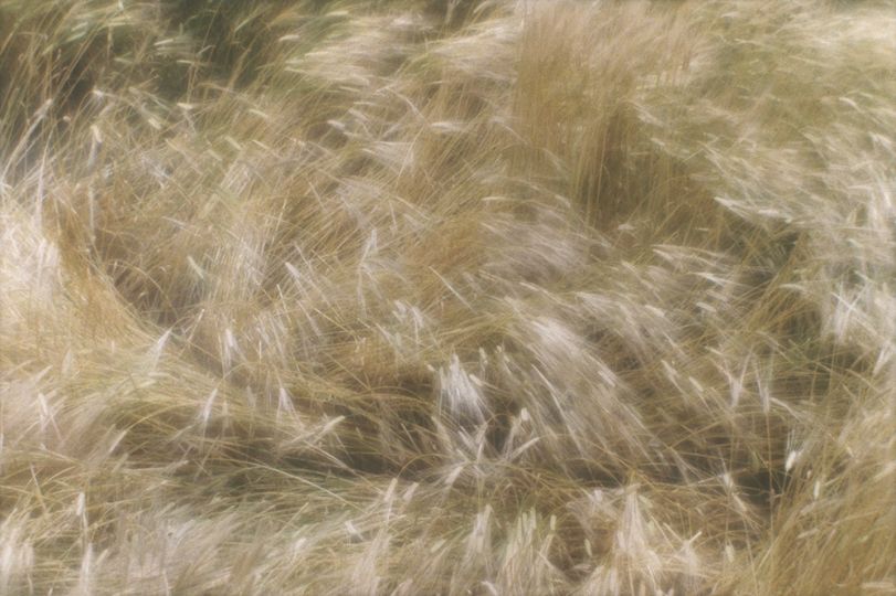 © Shoji Ueda