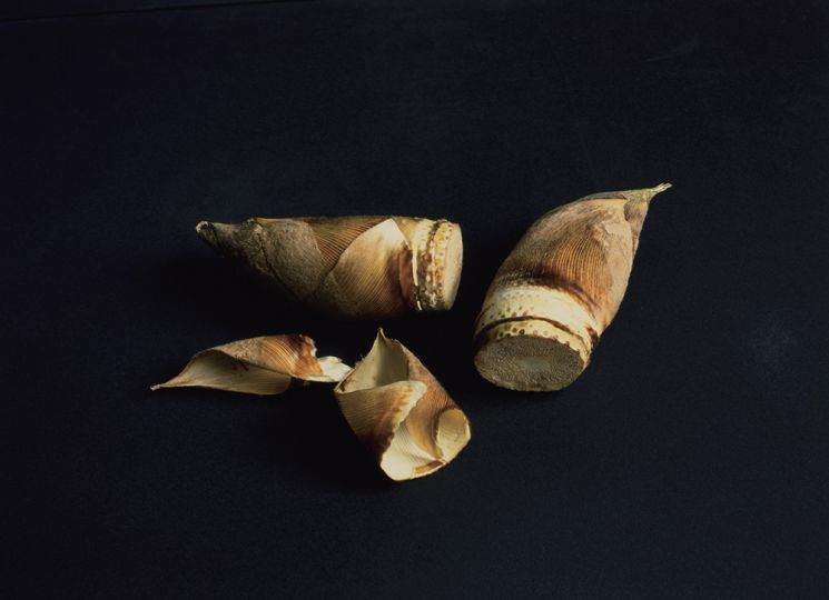 © Shoji Ueda
