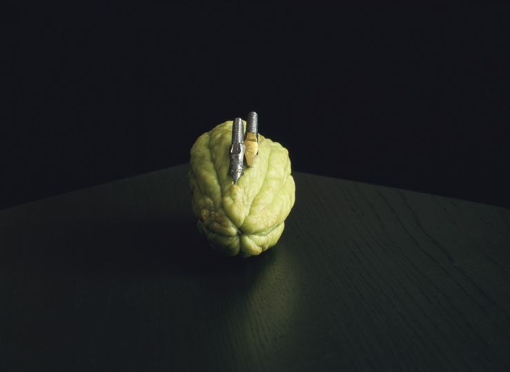 © Shoji Ueda