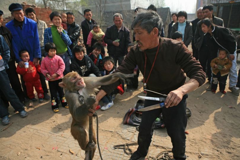 Le Singe-pèlerin ou le Pèlerinage d'Occident (Si-Yeov-Ki) par WOU TCH'ENG-EN | Le Chemin des philosophes Le Singe-pèlerin ou le Pèlerinage d'Occident (Si-Yeov-Ki) par WOU TCH'ENG-EN | Le Chemin des philosophes