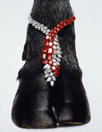 Harry Winston Necklace, New York, 1963 . © Hiro