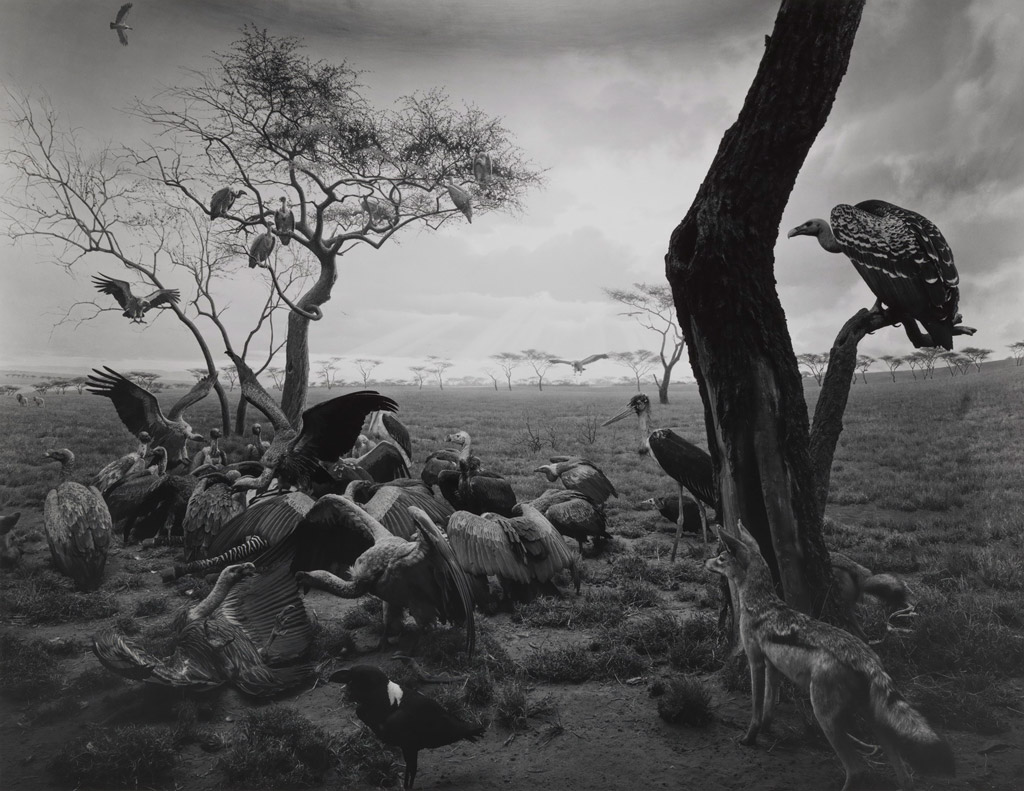 Moscow : Hiroshi Sugimoto, Past and Present in Three Parts - The