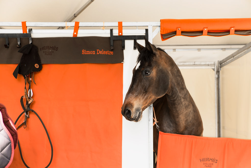 Le Saut, Hermes in Paris: Day 1 - Equestrian Living