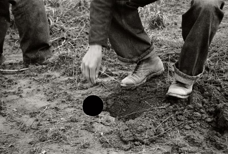 © Bill McDowell, ground