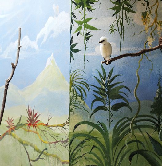 © Eric Pillot, Bali Starling and Mountain, 2012, Courtesy of Galerie Dumonteil, Shanghai, Paris, New York
