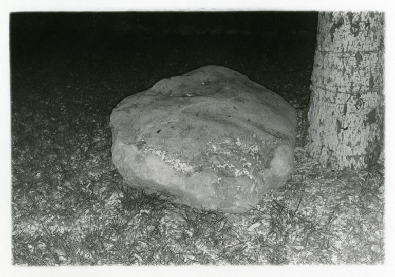 Landscape #2 [rock by tree], 1976