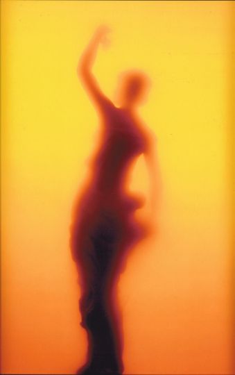 ©Andres Serrano, Elegance Piss