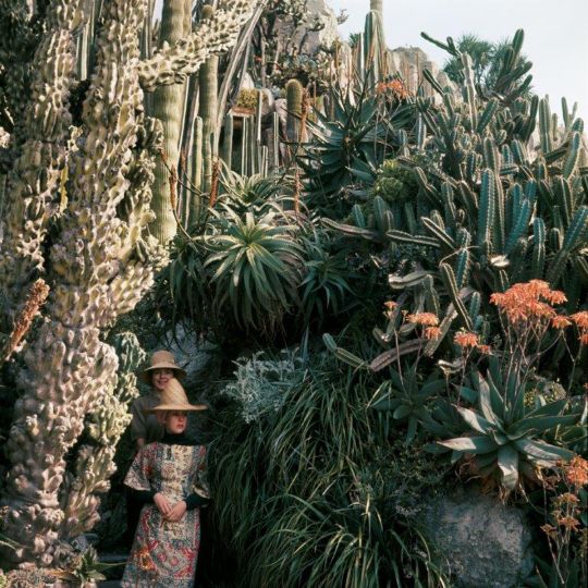 © Jacques Henri Lartigue