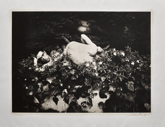 © Eikoh Hosoe / Galerie Eric Mouchet