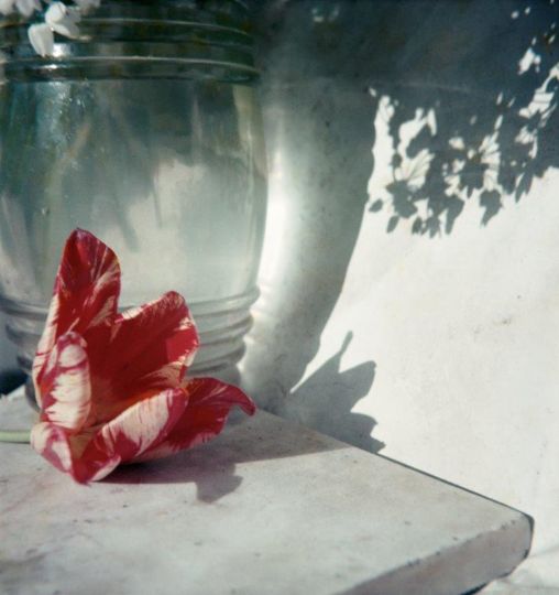 © Jacques Henri Lartigue