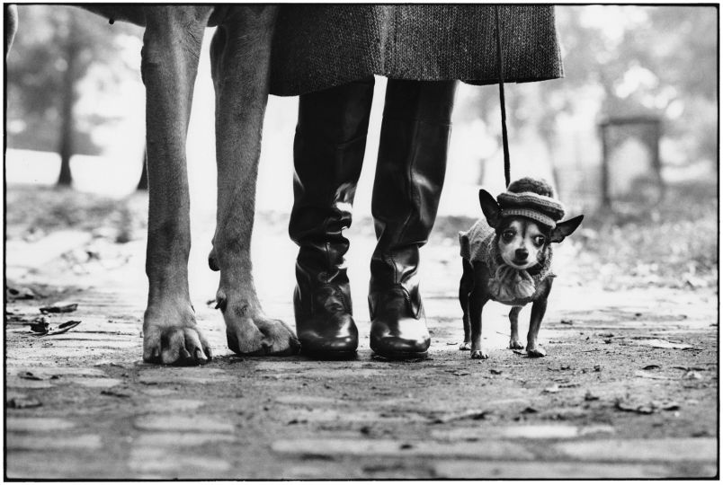 Elliott Erwitt New York City, 1974