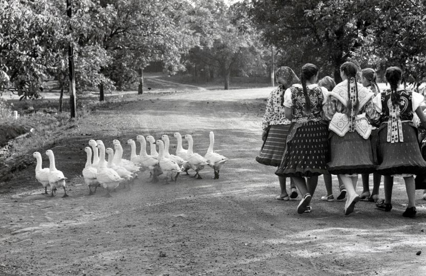 © Elliott Erwitt Hungary