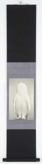 Washi #1637, 2016