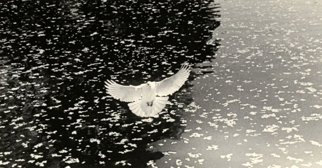 Untitled #1617 (from the series Kawa=Flow), 2012