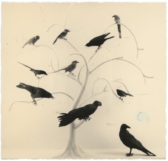 Untitled #165 (from the series Box of Ku), 1987