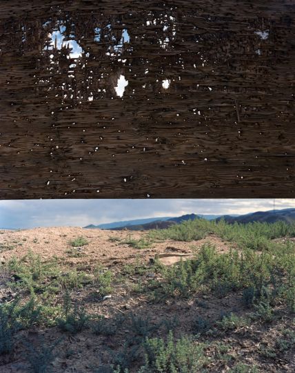 Jeff Whetstone Ephraim, 2010 © Jeff Whetstone, Courtesy Julie Saul Gallery, New York