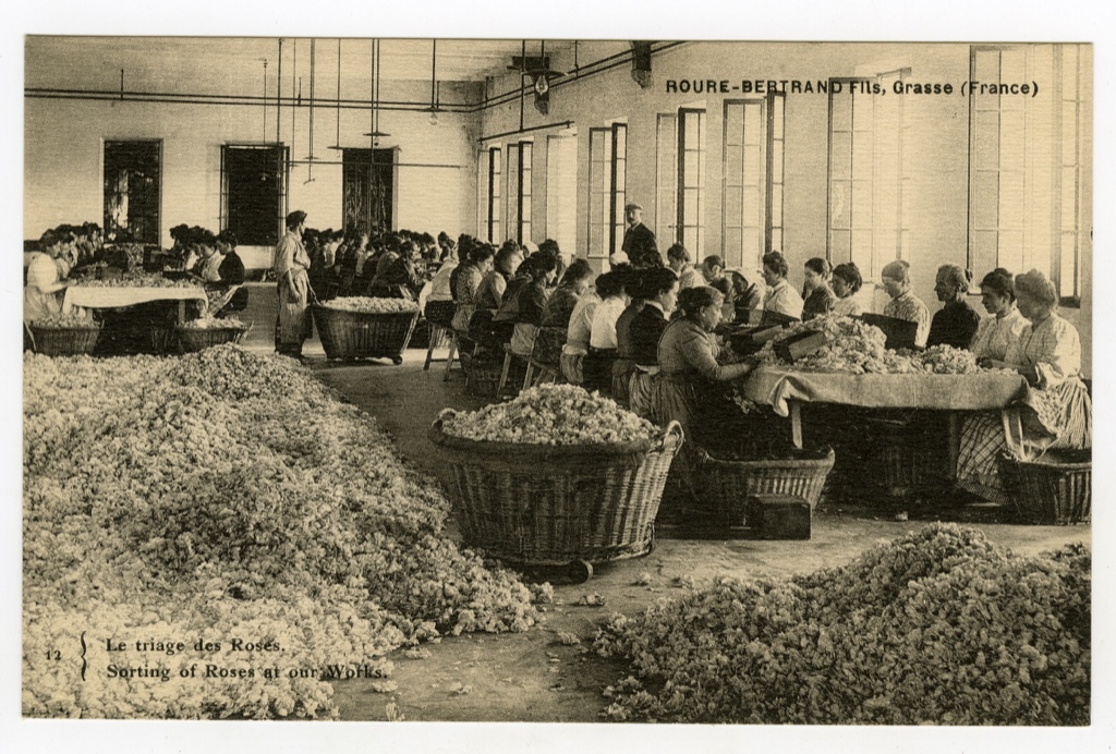 Ciao Italia The Italian Immigrants Who Made France The Eye Of