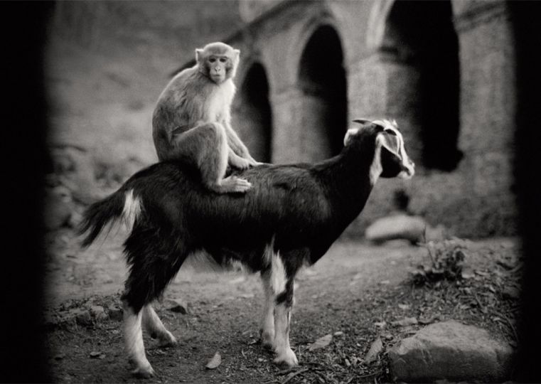 Swayambhunath Nepal 1994 stimultania © Pentti Sammallahti