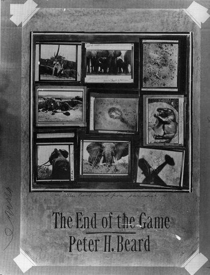 Reproduction of mock-up poster for the 1977 exhibition © Orin Langelle