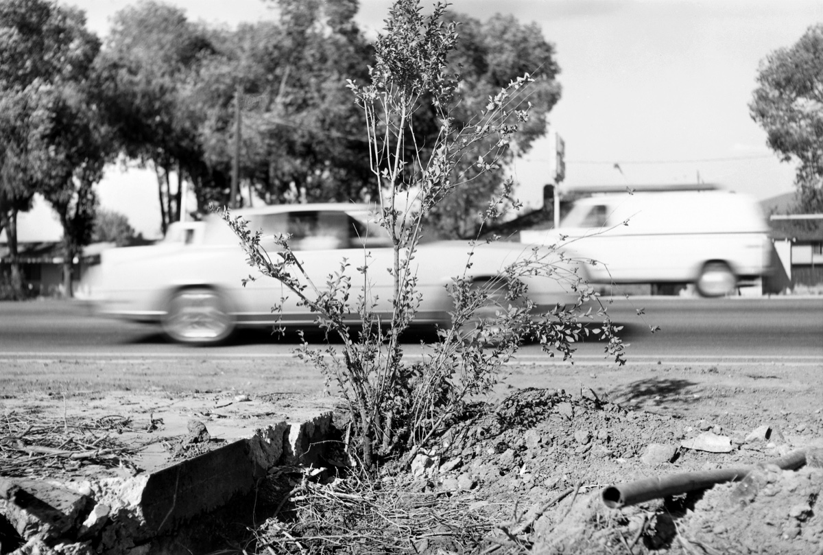 Image result for lewis baltz nevada