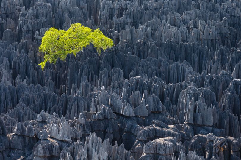 © Yann Arthus-Bertrand