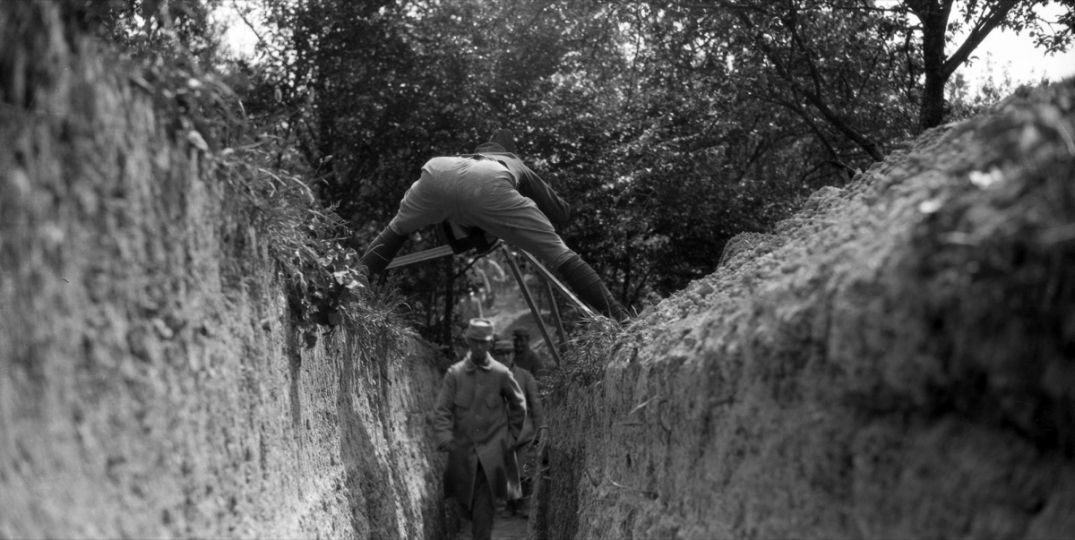 Argonne 6 St Thomas- tranchées- cheval dans l'arbre