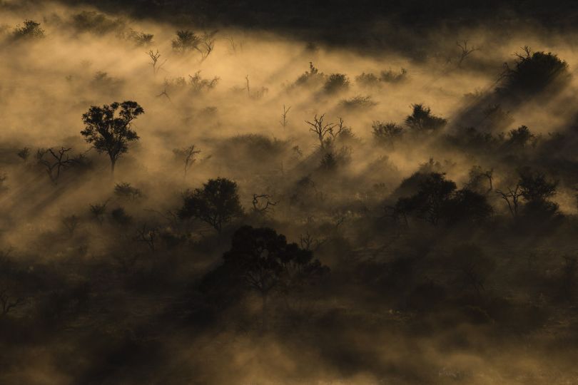 © Yann Arthus-Bertrand
