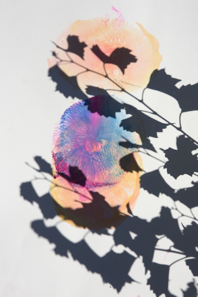 Roxane II, the new book of Viviane Sassen - The Eye of Photography